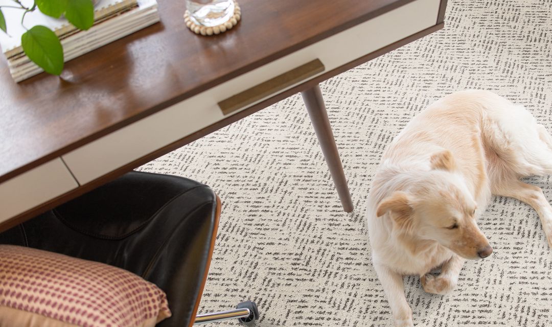 office desk with chair patterned carpet dog in floor